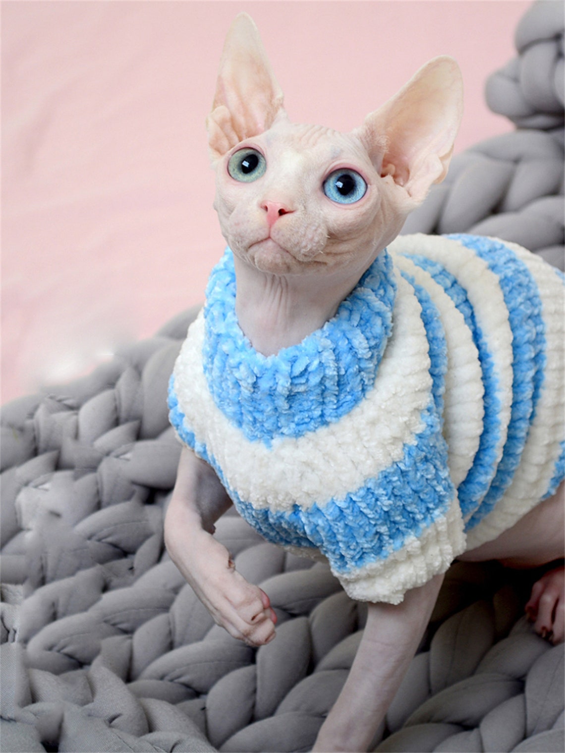 Cat Clothes Autumn and Winter Warm Sphinx Hairless Cat Costume Etsy