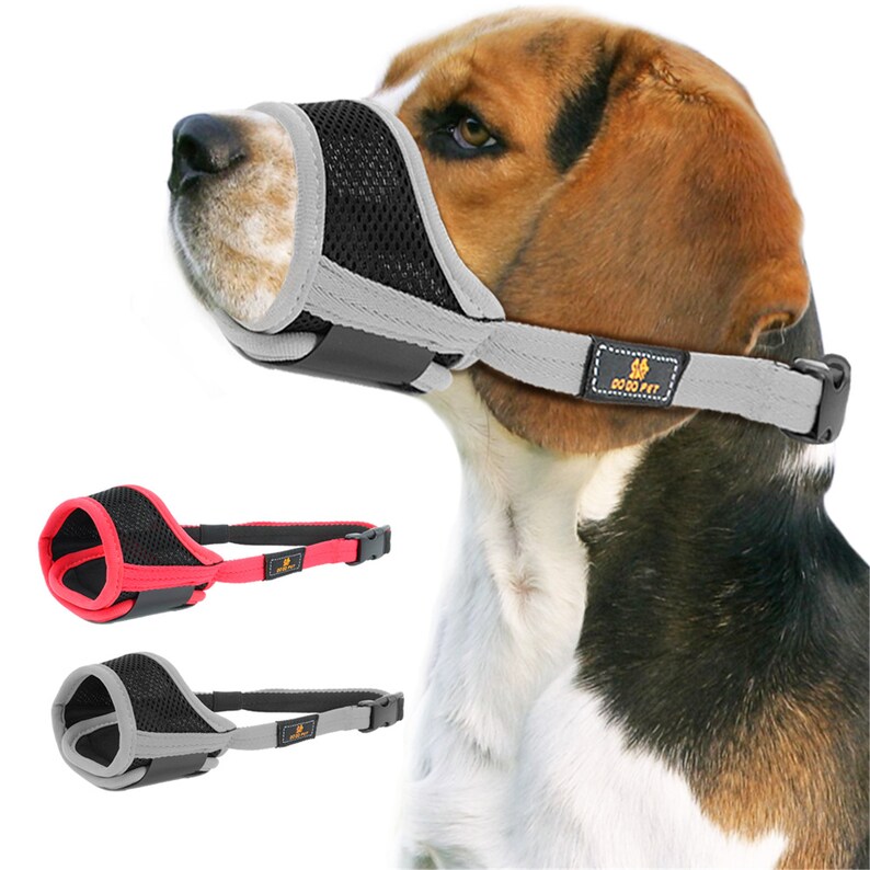 using a muzzle to stop chewing