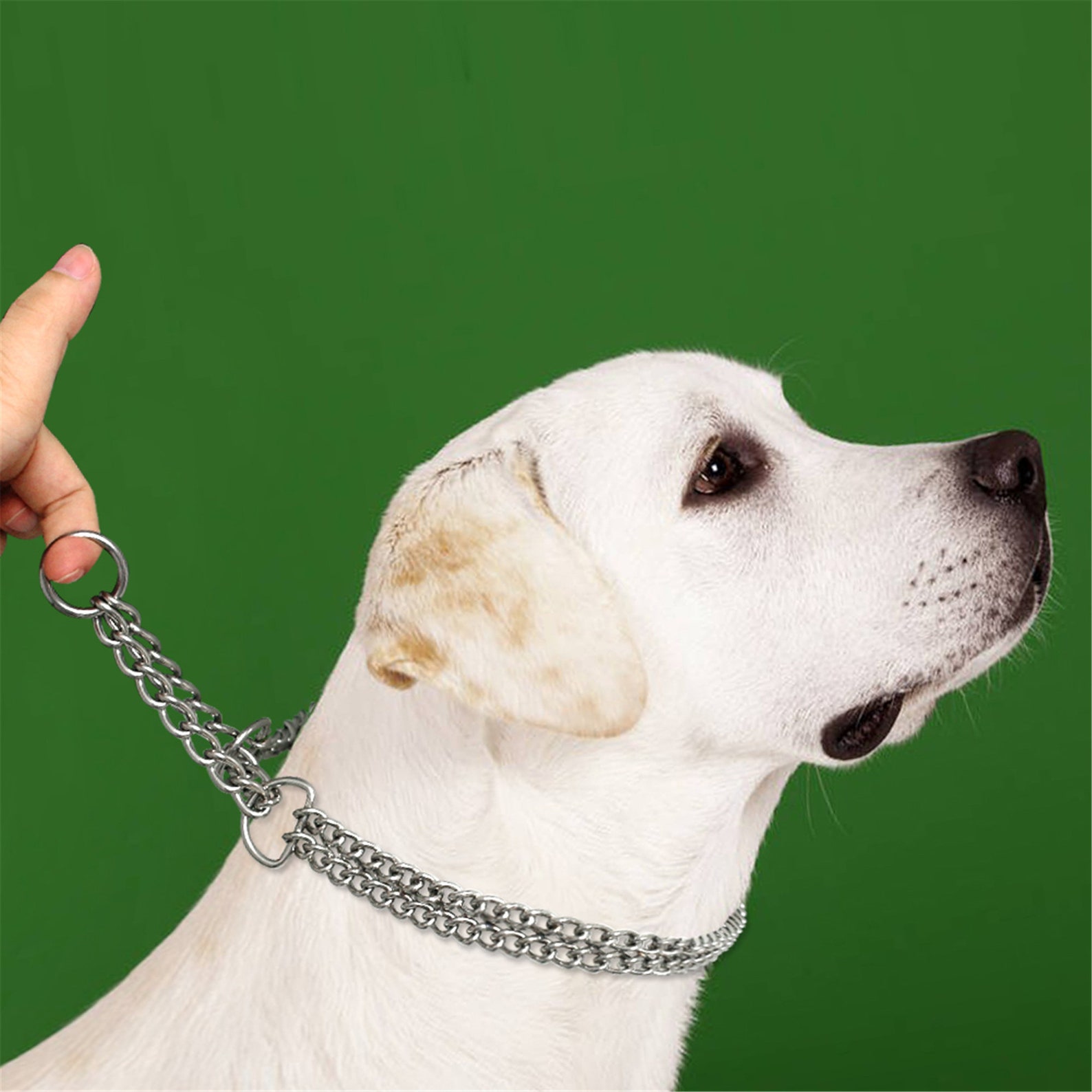 Dog Training Chain Pet Choke Collar Double Row Metal Chain Etsy
