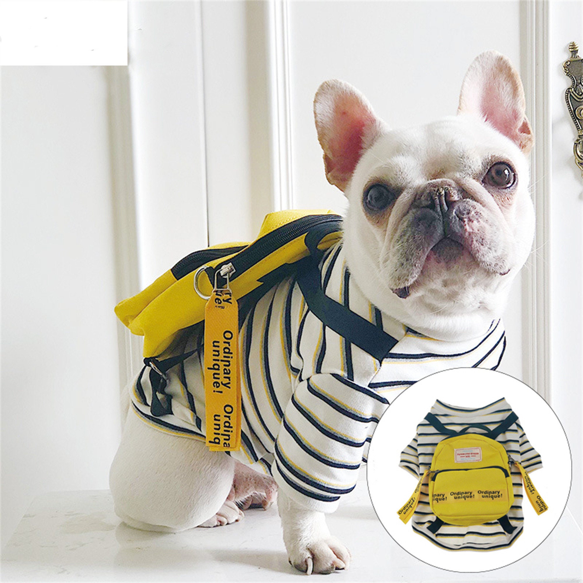 Fashion Pet Dog Clothes Costume for French Bulldog Black Strap