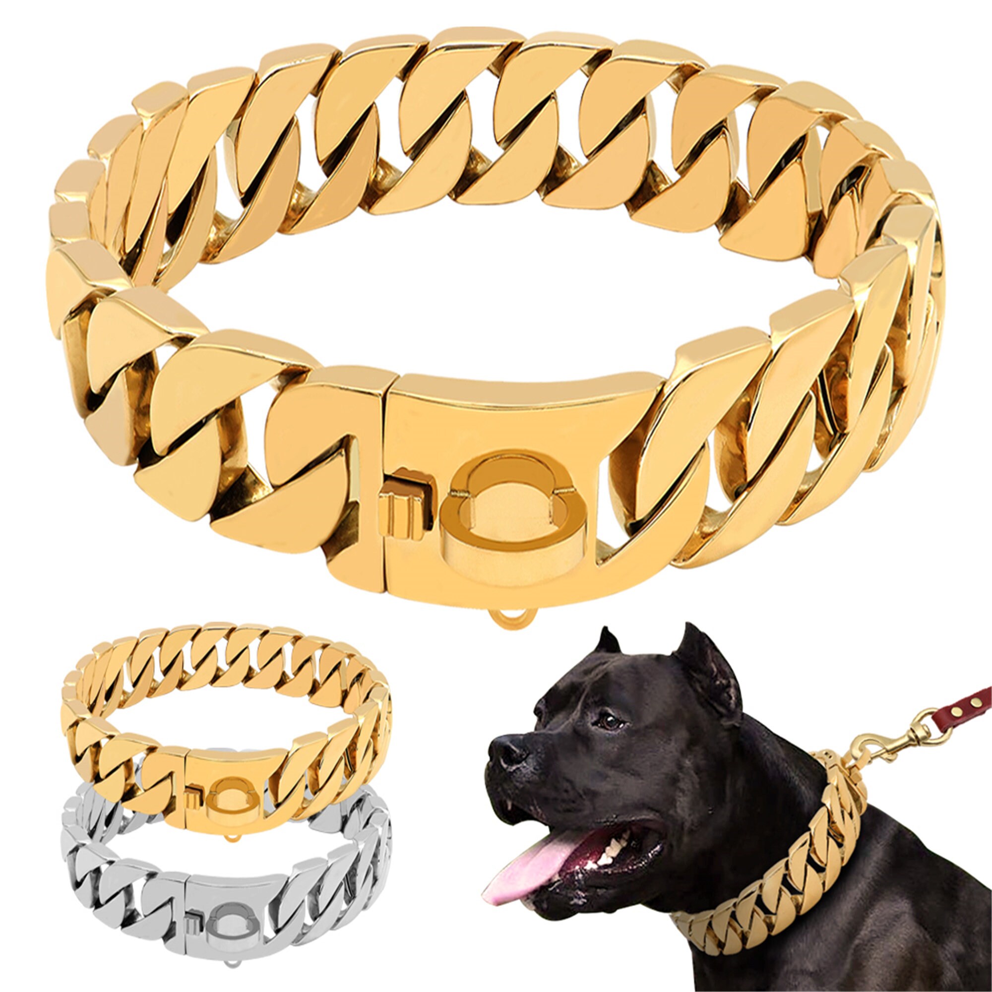dog training chain
