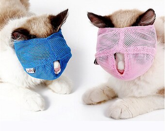 cat in straight jacket