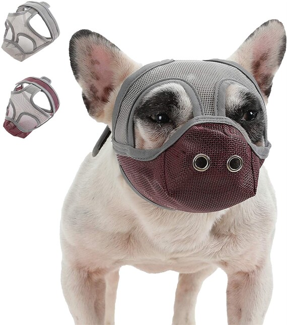 dog muzzle to prevent chewing