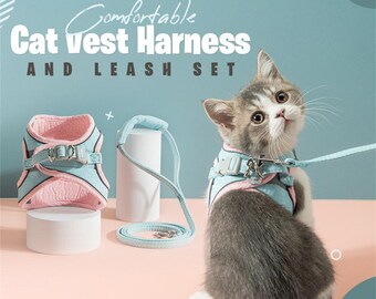 kitten harness kmart