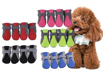water dog shoes