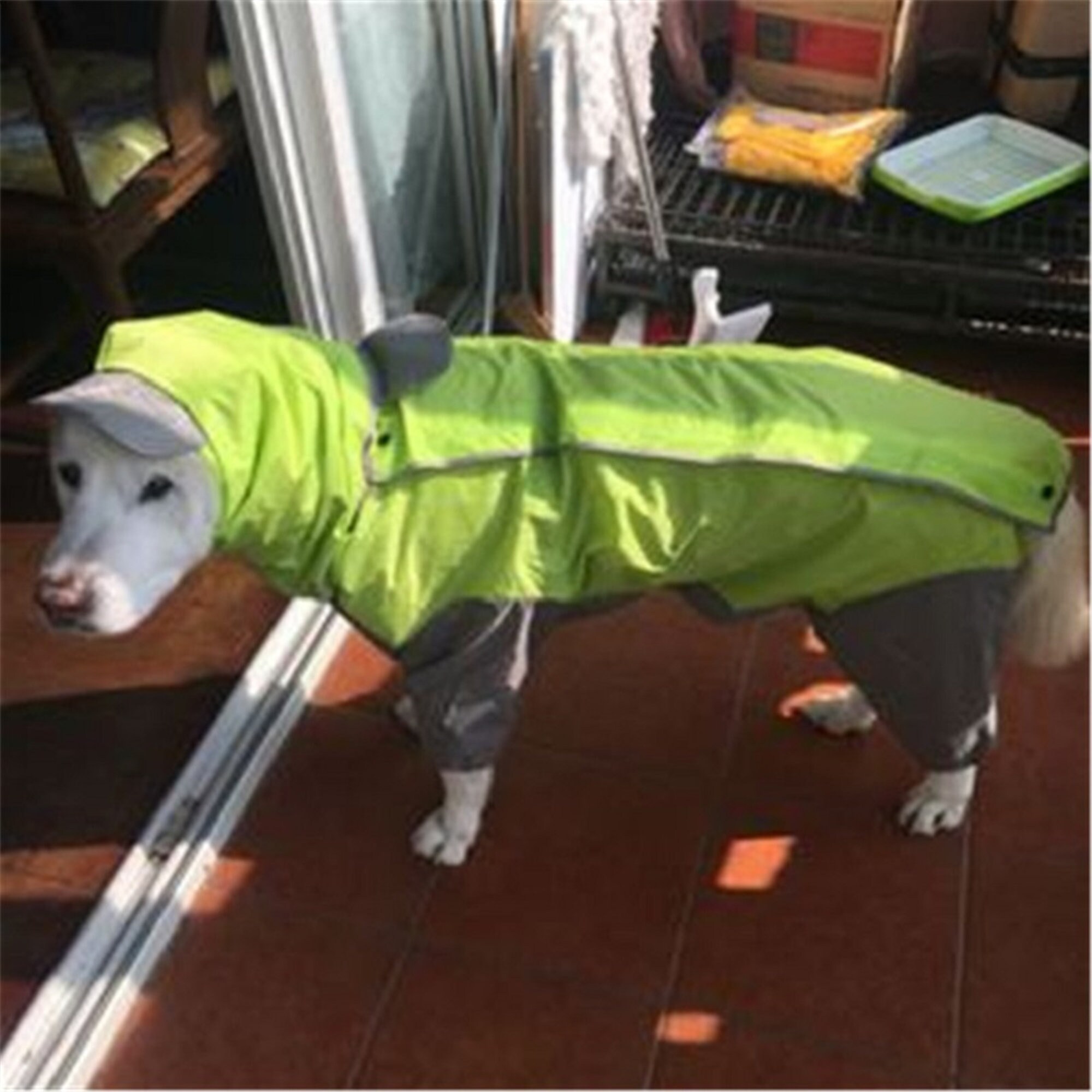 Large Dog Raincoat Clothes Waterproof Rain Jumpsuit For Big Etsy