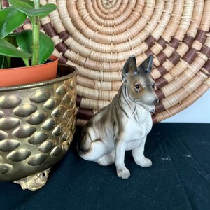 Norleans Dog - Etsy