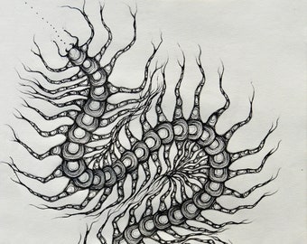 Centipede