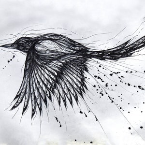 Mrs Magpie - Art Print & Original