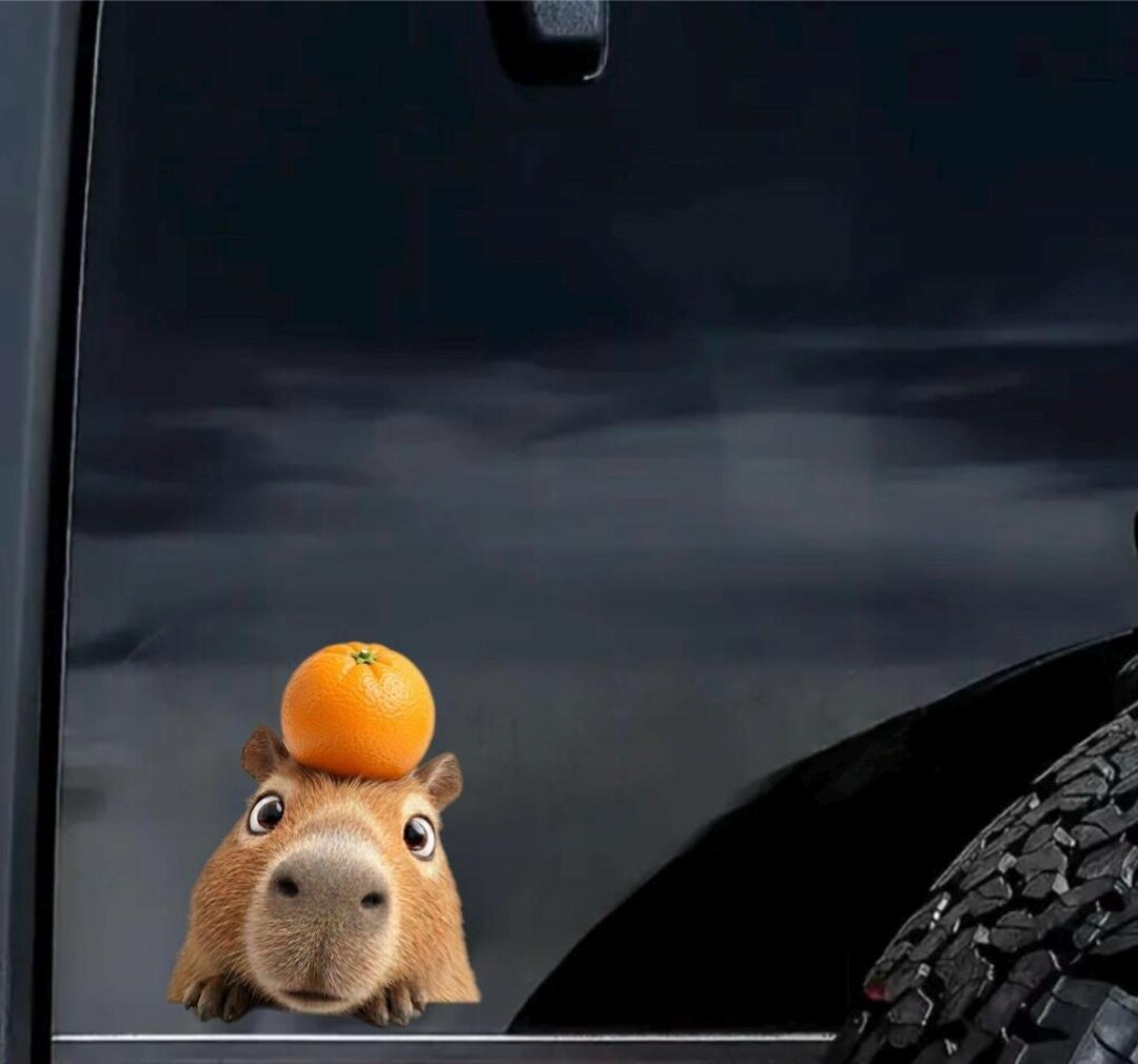 Orange Peeking Capybara Car Decal - Cute Animal Window Sticker ...