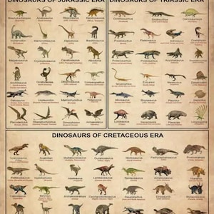 Ensemble d'affiches historiques et naturelles - Déclaration d'indépendance, dinosaure, requin, araignée et traces d'animaux. Impressions d'art mural éducatives.