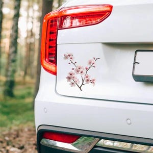 May include: A white car's rear with a cherry blossom branch sticker. The sticker features delicate pink flowers and brown branches. The car's taillight is red, and the background is a blurred forest.