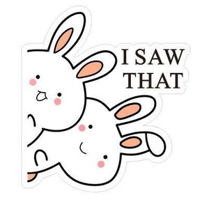 I Saw That Rabbits Removable Car Decals, Peeking Car Decal Funny Bumper Sticker Vechicle, Car, Van, Truck, Bike