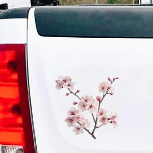 May include: A white vehicle's rear panel features a delicate floral decal. The decal showcases a branch of pink cherry blossoms with brown stems and green leaves. The blossoms are in full bloom, adding a touch of nature to the vehicle's design.