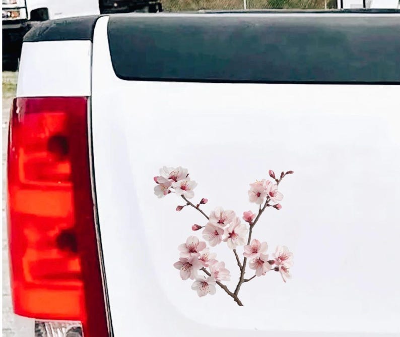May include: A white vehicle's rear panel features a delicate floral decal. The decal showcases a branch of pink cherry blossoms with brown stems and green leaves. The blossoms are in full bloom, adding a touch of nature to the vehicle's design.