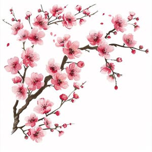 May include: Watercolor illustration of pink cherry blossom branches with delicate flowers and buds. The branches are a dark brown color, and the background is white. Some petals are falling.