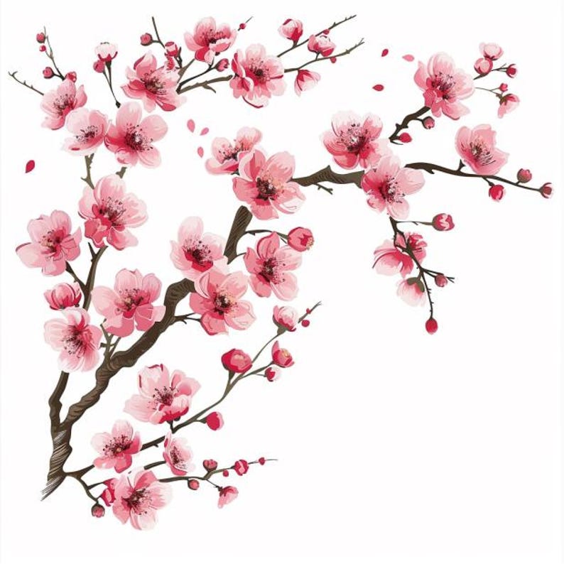 May include: Watercolor illustration of pink cherry blossom branches with delicate flowers and buds. The branches are a dark brown color, and the background is white. Some petals are falling.