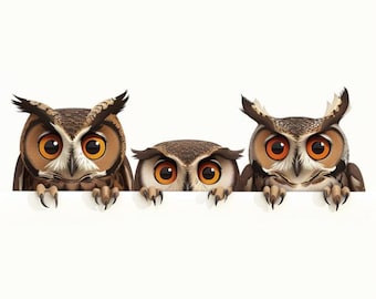 Bonita pegatina de búho para coche. Vinilo impermeable de alta calidad. Fácil de aplicar y quitar. Regalo perfecto para amantes de los búhos y los pájaros.