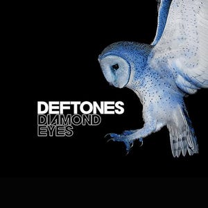 Deftones Einfache Wandkunst, Deftones Kunstdrucke, Deftones Eule, Deftones Pferd, Deftones Band