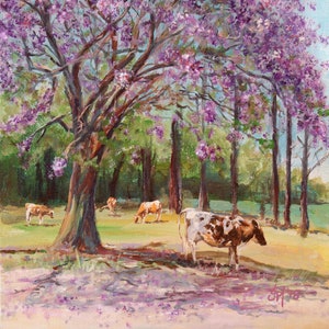 Jacaranda Tree