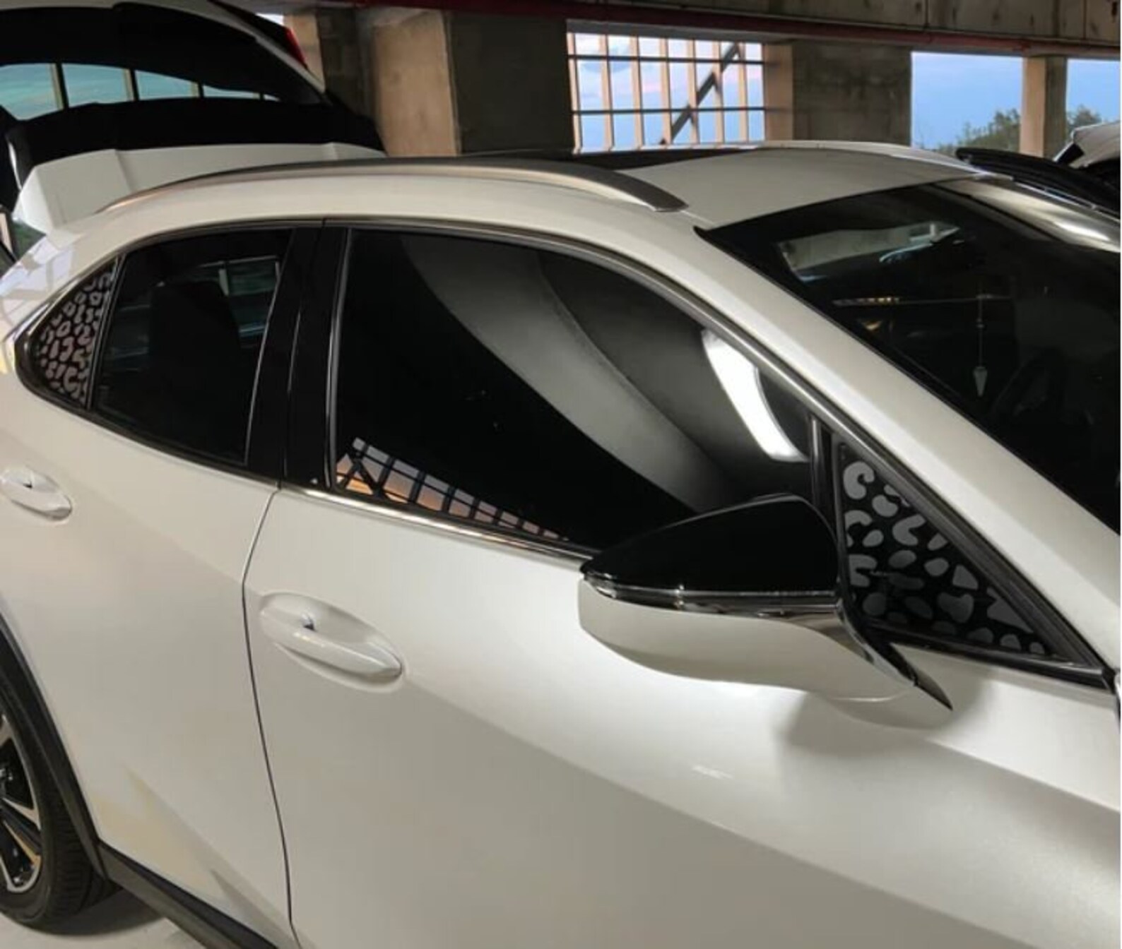 Cheetah Leopard Print Vinyl Window Decal Trim to Fit Any Etsy