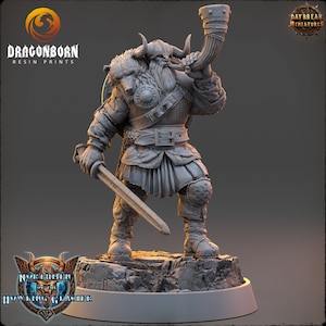 Harald Hornblower - D&D - Guerreros - 9th Age - Kings of War - Daybreak Miniatures - RPG - Bárbaro - Vikingo