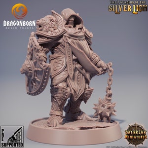 Mattias du Lion Tuant - D&D - Paladin - 9th Age - Kings of War - Dayanbruch Miniaturen - RPG
