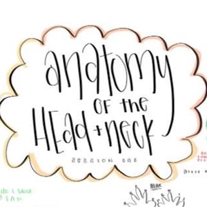 May include: A white cloud-shaped graphic with the text "anatomy of the HEAD + neck" in black script. The words "session one" are below the text. The cloud has a light orange and yellow outline.