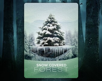 Forest Snow Land