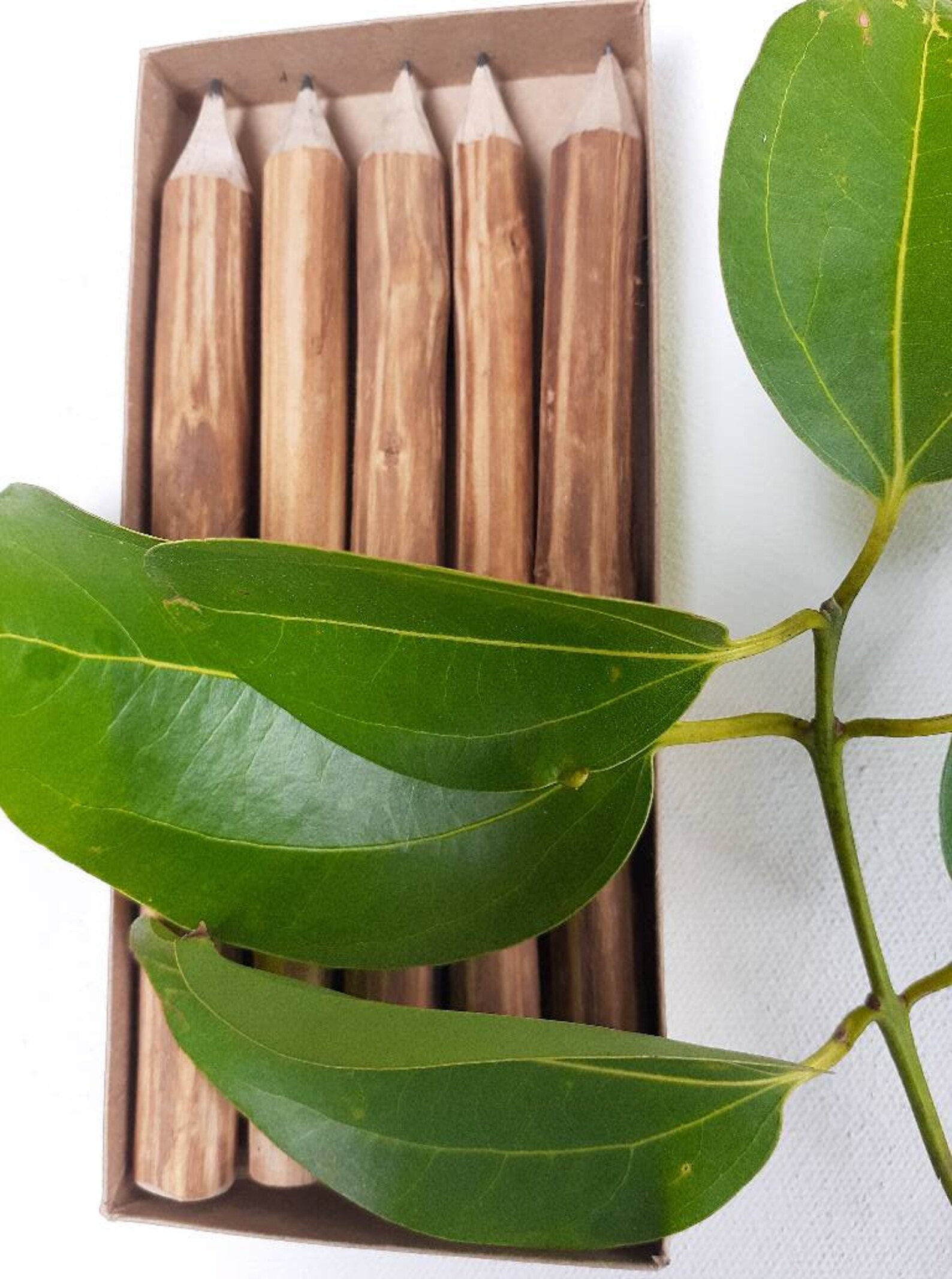 Personalized Cinnamon Wooden Pencil Drawing Painting Pencils Etsy