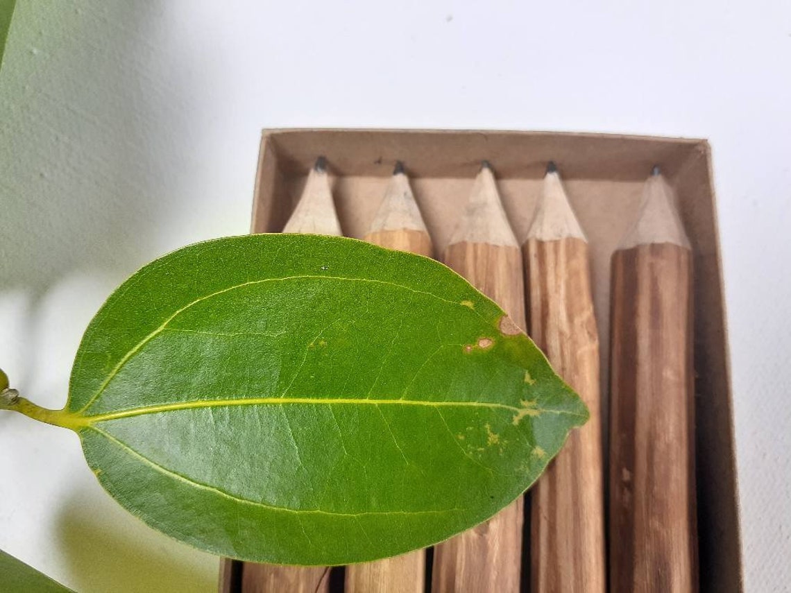 Personalized Cinnamon Wooden Pencil Drawing Painting Pencils Etsy