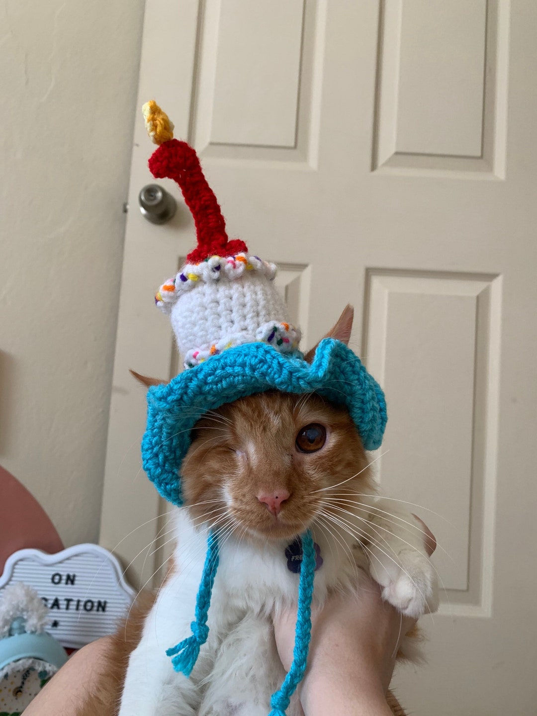 Crochet Birthday Hat for Cats Etsy