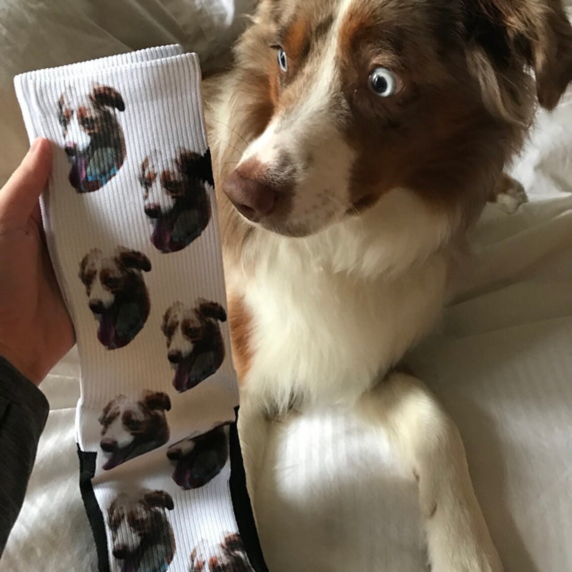 Your Pets Picture Socks Dri Fit Athletic Compression Socks Dog Etsy