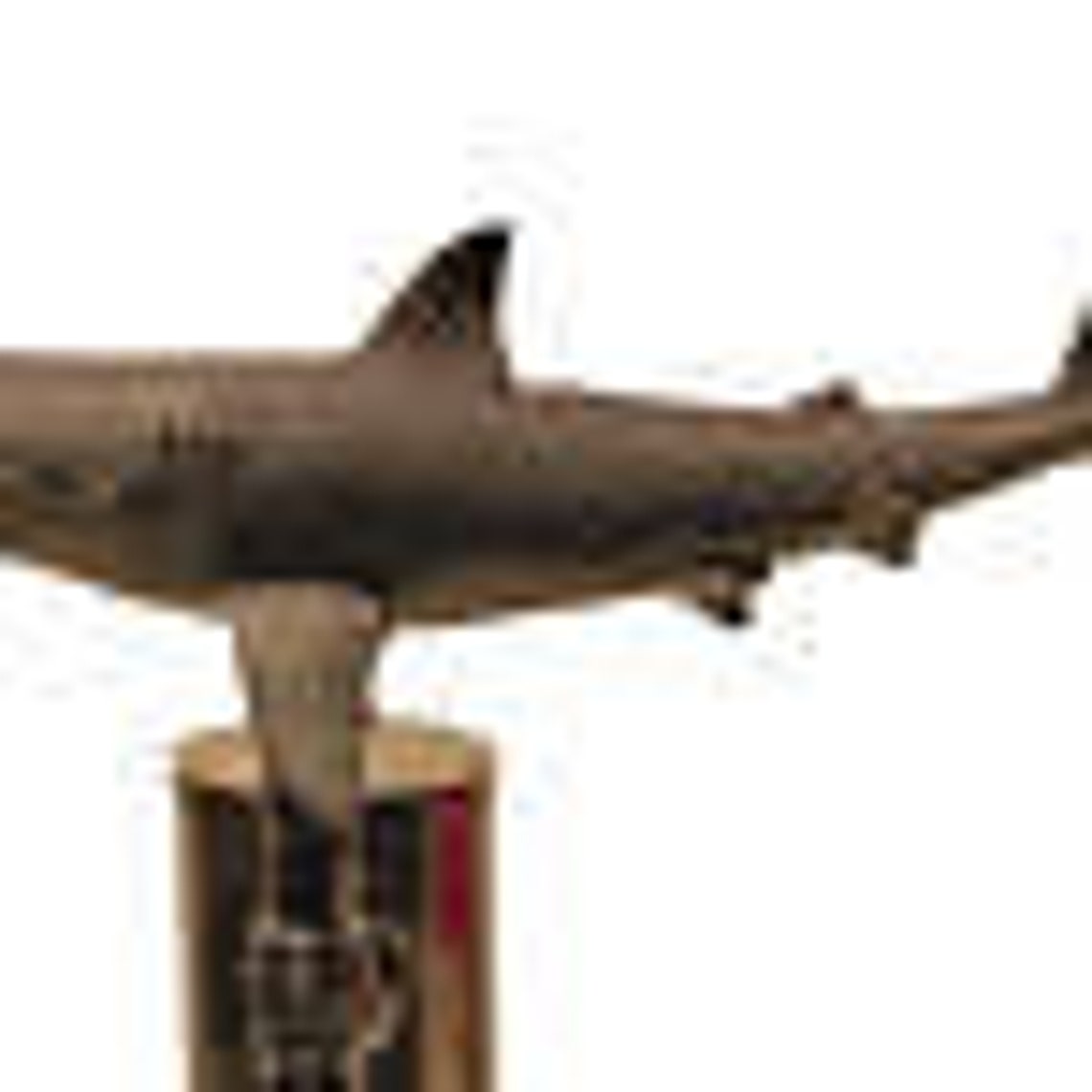 Great White Shark Lifelike Beer Tap Handle Ocean Diver Jaws Kegerator