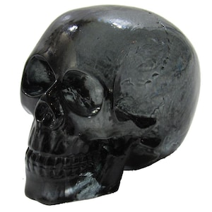 May include: A black skull made of resin. The skull has a glossy finish and is detailed with realistic features.
