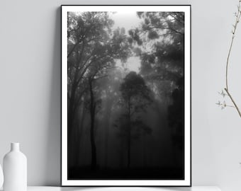 Black and White Nature Photo Print, Nature photography, Minimalist aesthetic forest photography, b&w Trees Wall art, dark woods Art poster