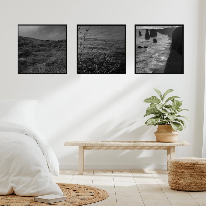 Square Photo Prints Black and White Nature Photography 3 - Etsy