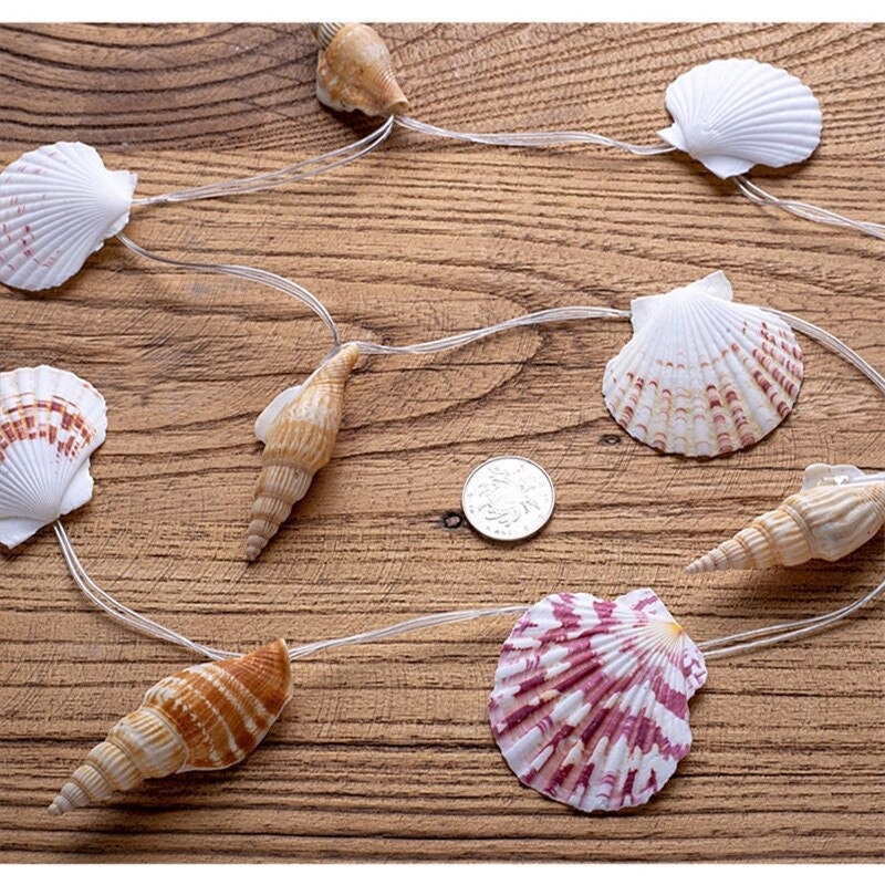 Marine Style Natural Shell Conch Decoration DIY Handmade Etsy