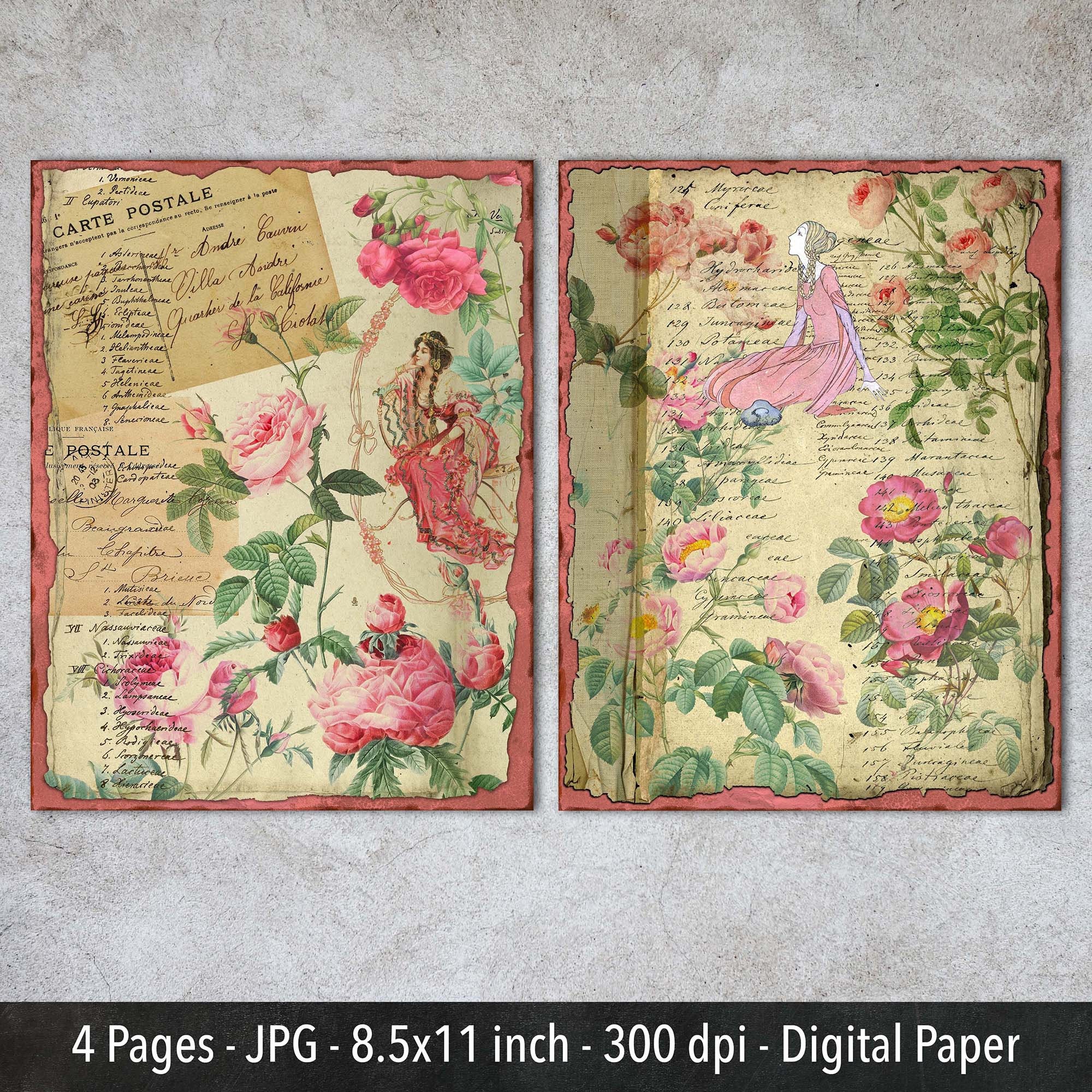 コラージュジャーナル*『ピンクローズ』 コラージュ 素材 デザイン ペーパー 花 薔薇 フラワー ローズ
