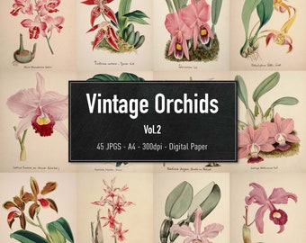 Orchids, 45 Vintage Illustrations Vol.2, Printable Plant Images, Digital Paper, Instant Download