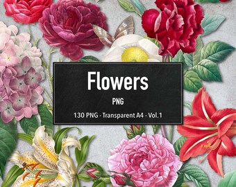 PNG - Vintage Flowers, 130 Transparent Flower Illustrations, Digital Clipart, Instant Download