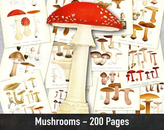Vintage Mushrooms, 200 Pages of Printable Illustrations, Instant Download