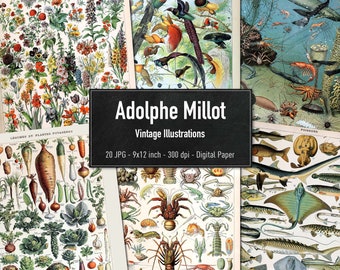 Adolphe Millot, 20 Vintage Illustrations, Printable Animals & Plants Images, Downloadable Posters, Instant Download
