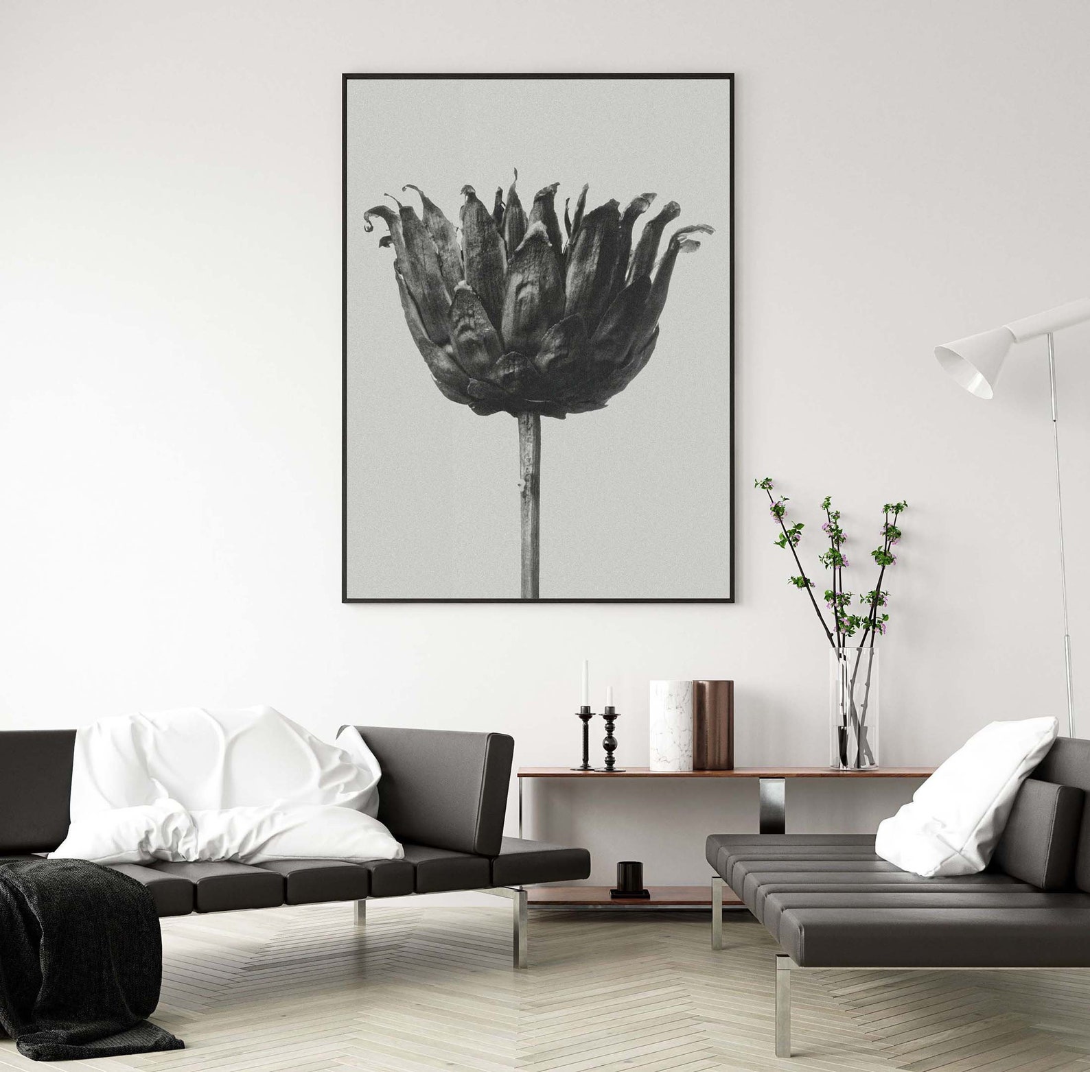 Karl Blossfeldt Poster, Centaurea Ruthenica, Urformen Der Kunst ...