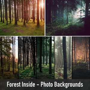 Può includere: Un collage di scene di foresta con varie condizioni di illuminazione. Le immagini mostrano alberi alti, fogliame verde e luce solare che filtra attraverso la chioma. Il testo "Forest Inside - Photo Backgrounds" è in basso.