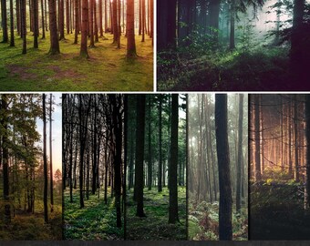Forest Inside Photo Backdrops, 10 HiRes Fine Art Images, Downloadable Backgrounds, Photoshop Overlay, Instant Download