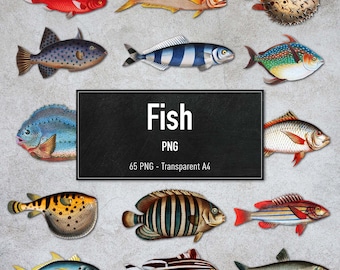 PNG - Vintage Fish, 65 Transparent Fish Illustrations, Digital Clipart, Instant Download