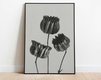 Karl Blossfeldt Poster, Abutilon (Lime Mallow), Urformen der Kunst, Printable Poster, Instant Download