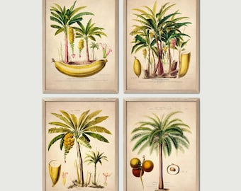 4 Vintage Tropical Palm Trees, Set of 4 Posters, Vintage Botanical Illustrations, Instant Download, Wall Decor