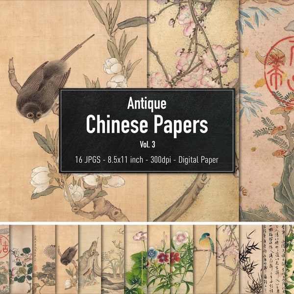 Antique Chinese Papers, Digital Paper, Vol.3, Vintage Illustrations from the 17th Century, Instant Download